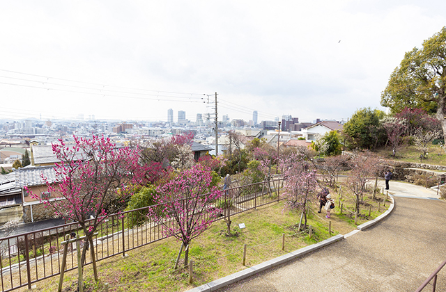岡本梅林公園