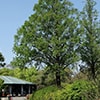 上坂部西公園