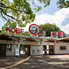 >神戸市立王子動物園