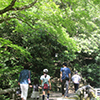 明治の森箕面国定公園