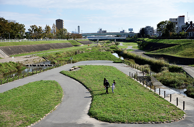 若園公園