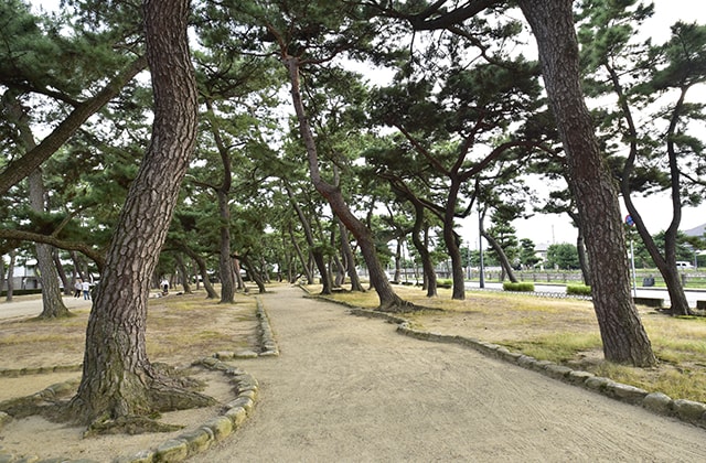 芦屋公園