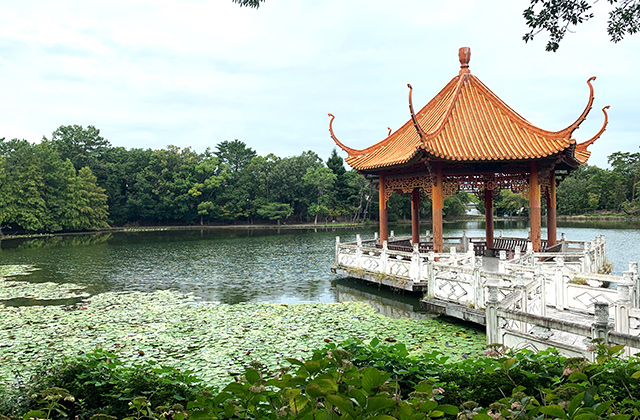 緑ケ丘公園