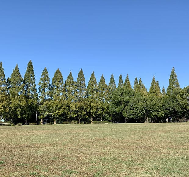 守山区