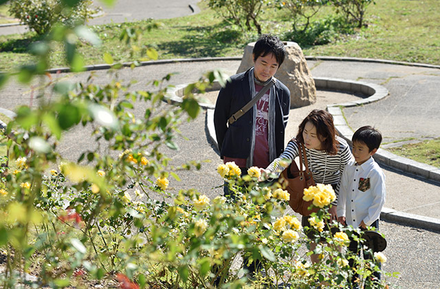 新幹線公園