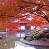 久安寺