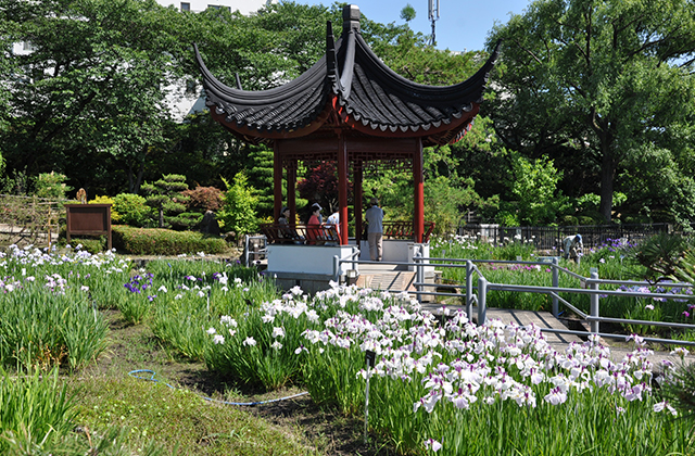 水月公園