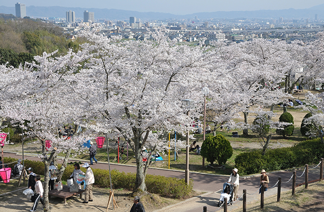 摂津峡公園