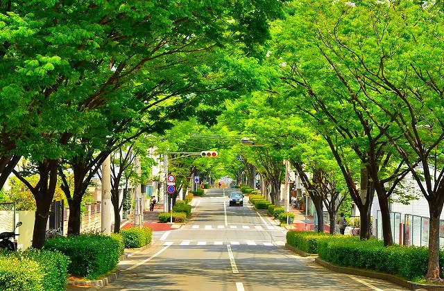 芦屋市の紹介