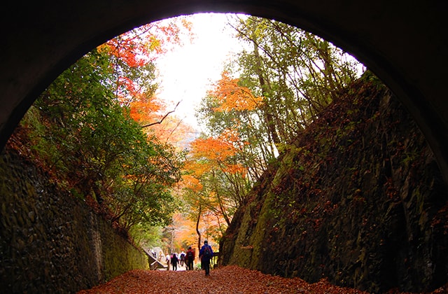 JR福知山線廃線敷