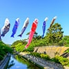 夙川公園（夙川河川敷緑地）