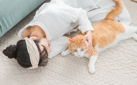 猫が快適に暮らせる部屋づくりとは？猫の習性に配慮して良好な環境を整えよう（7200）