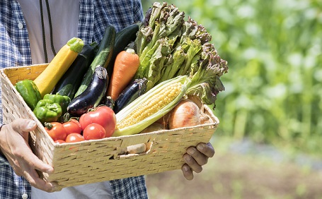 庭で家庭菜園を楽しもう！畑を作る方法と初心者にもおすすめの野菜を徹底解説