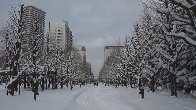 早くも雪化粧！ 純白に染まった北海道の雪景色まとめ