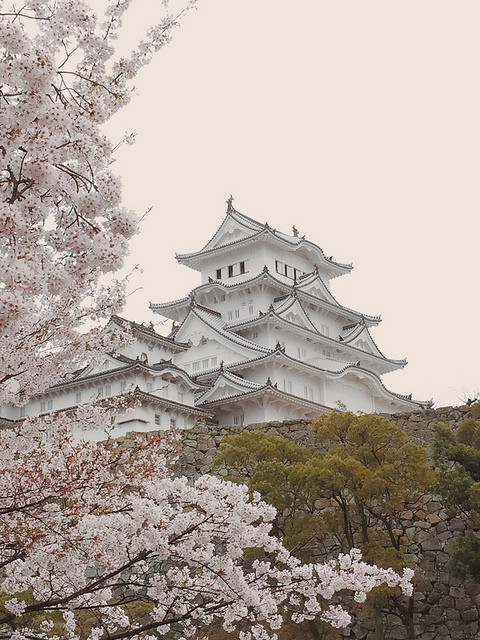 「白すぎ」姫路城を作り上げたのは、金沢の左官職人たちだった