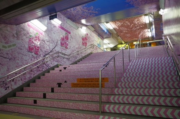 銀座線上野駅は桜が