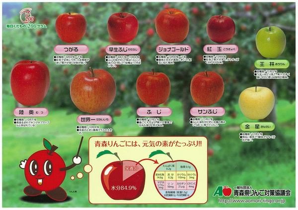 青森発の「りんごの下敷き」が、全国の子どもたちに配られるワケ