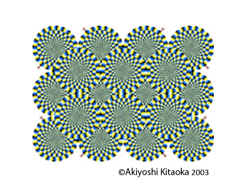 人間の錯覚を体感　 錯聴や３Ｄ錯視も