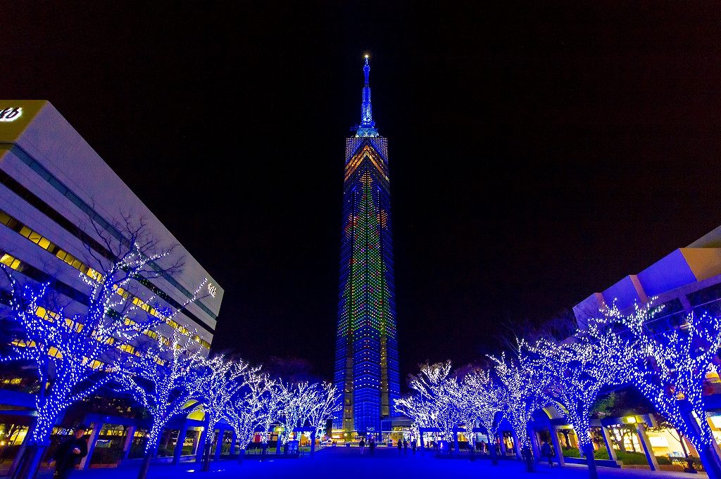 世界で話題の福岡　108メートルのクリスマスツリー