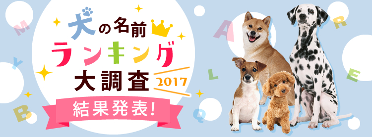 犬の名前人気ランキング総合１位は？　11月1日は「犬の日」