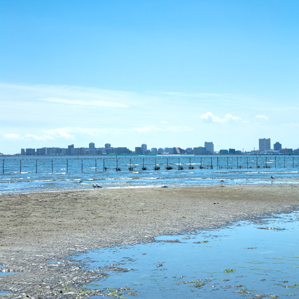 5当地「景」- 船橋編　～首都圏有数の漁港と急成長するベッドタウン～