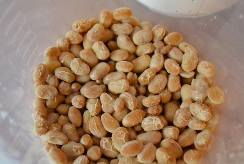 手作り納豆ってどんな味？「カモシコ」で始める発酵食品生活