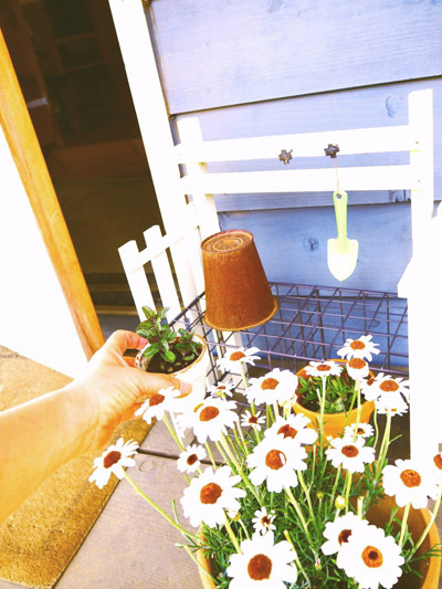 玄関に季節の花を飾ろう！　すのこで作る 「プラントラック」by スプンクさん