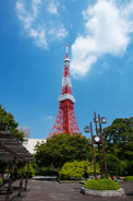 芝公園から見た東京タワー