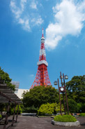 芝公園から見た東京タワー 芝公園から見た東京タワー