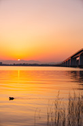 琵琶湖大橋の夕景