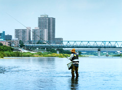 相模川のアユ釣り