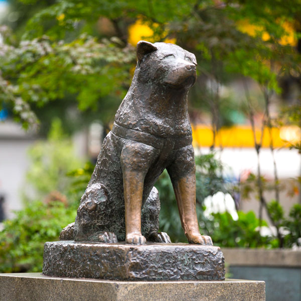 5当地「景」- 渋谷編　～未来へと加速する副都心～